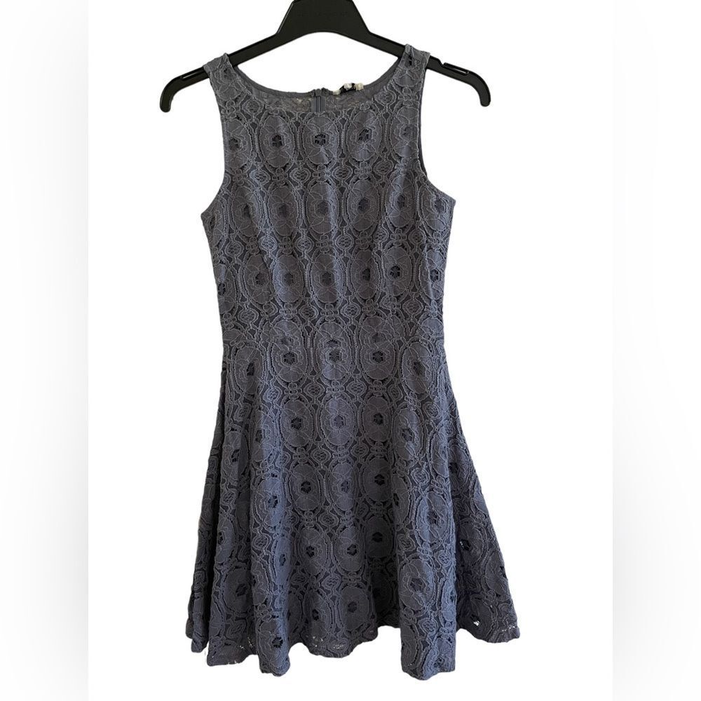BB Dakota Lace Gray Dress with Flare